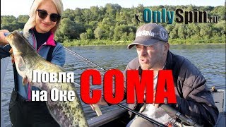 Как ловят сомов на оке