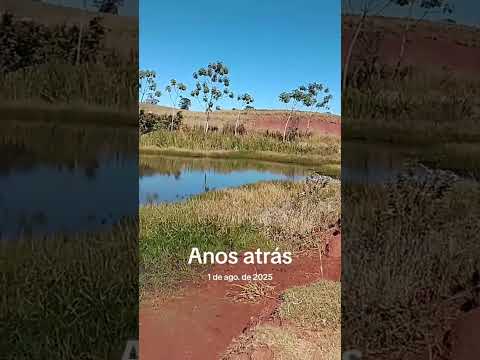 Querência Do Norte Paraná