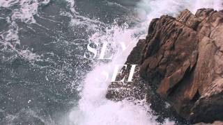 Bonobo - Heaven for the Sinner