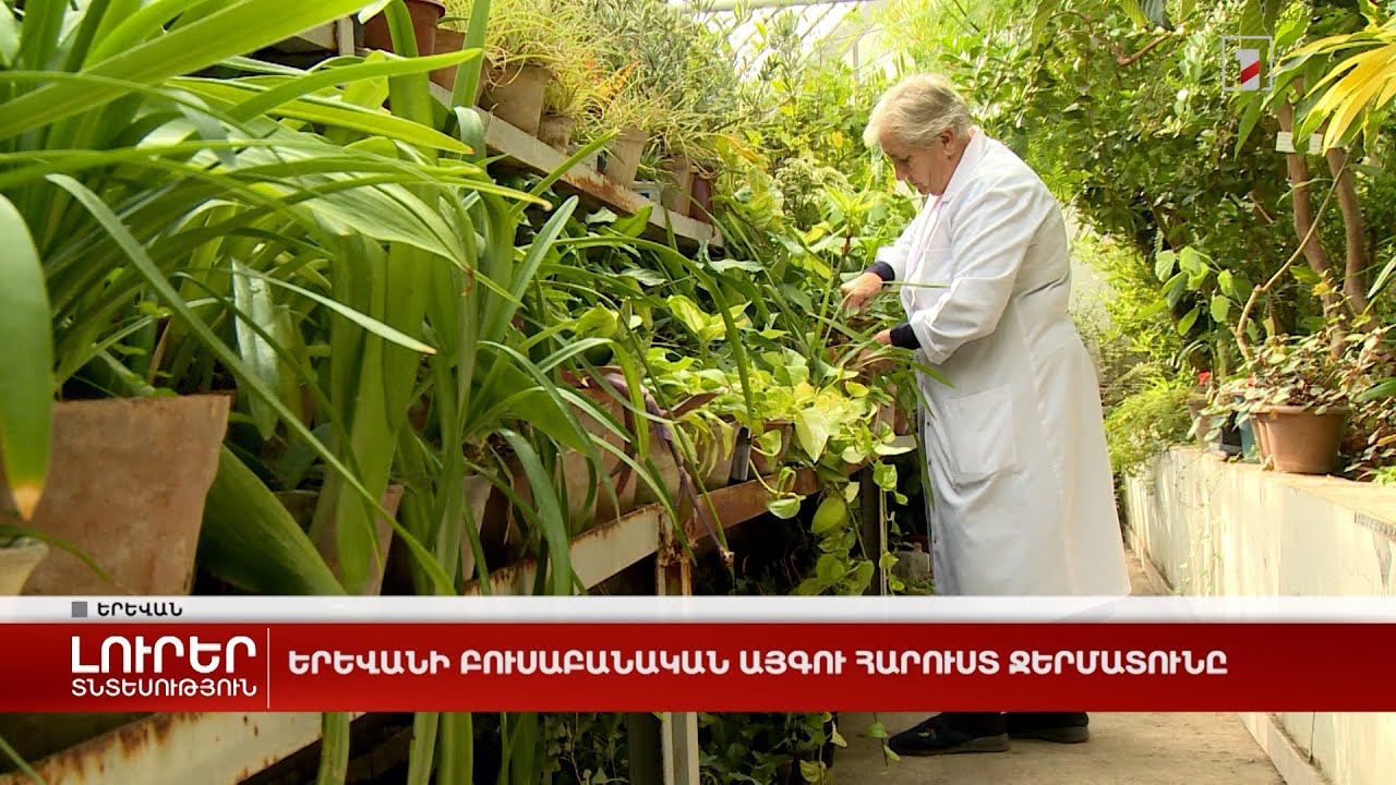 Երևանի բուսաբանական այգու հարուստ ջերմատունը