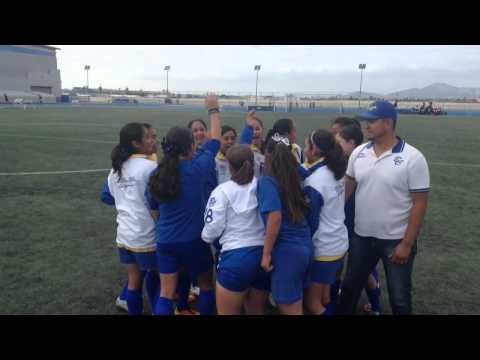 Seleccion estatal d baja 2001