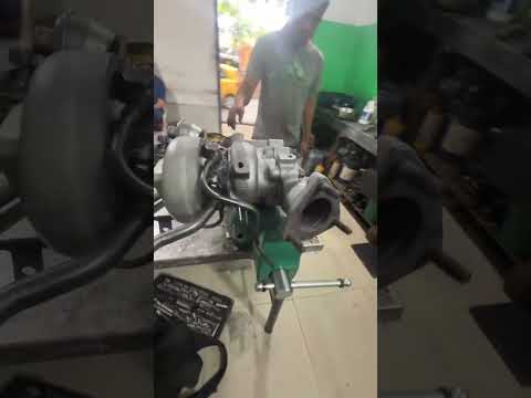 Servidiesel Short 5