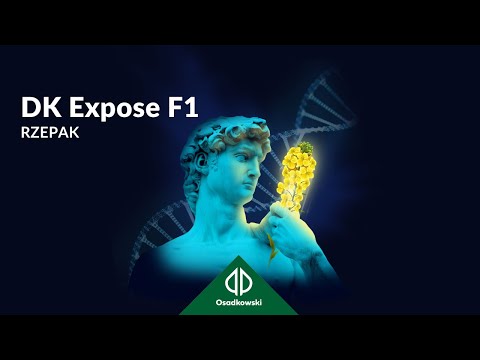 Rzepak DK Expose F1