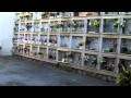 In Loving Memory Of Maurizio Merli
