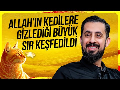 , title : 'Allah'ın Kedilere Gizlediği Büyük Sır Keşfedildi - İktiran | Mehmet Yıldız'
