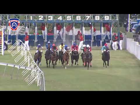 RM8 R4 | The Botanique Cup | Raheeb | D.Holland