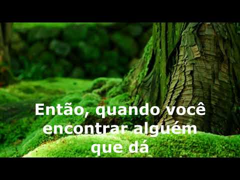 Dc Project - Mary s prayer tradução