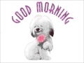 Good Morning Voice Message