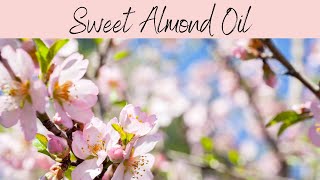 Sweet Almond Oil, INCI: Prunus Amygdalus Dulcis Oil. Intense Anti Wrinkle, Perfect for Mature Skin.