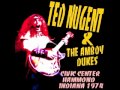 Ted Nugent & The Amboy Dukes - Hammond 1974 - 03 - Pony Express