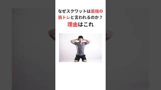 【雑学】なぜスクワットは最強の筋トレと言われるのか？理由はこれ