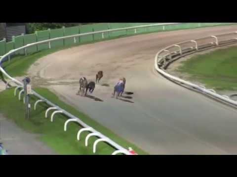 2019 RPGTV STAYERS TROPHY - HEAT 3 - T4 SHELDAN