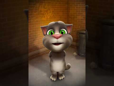 Talking tom song by tejasri