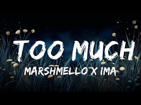 Marshmello x Imanbek - Too Much (Lyrics) ft. Usher  | Best Vibing Music