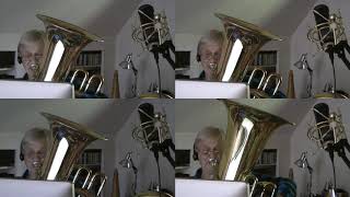 2020 That&#39;s What Friends Are For (The Vulture Song) - for Virtual Tuba Quartet