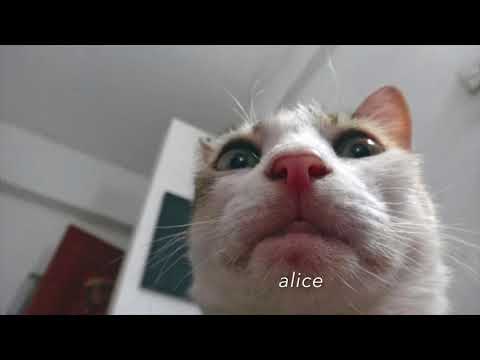 whats your build boy?