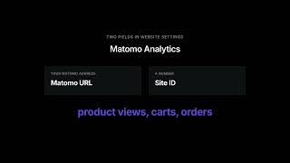 Odoo 19 & 20 Matomo Analytics, Free App
