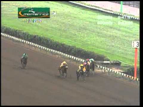 Trankuila logrando su tercer triunfo (Sábado 13 de Octubre del 2012)