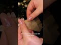 Learn How To Roll A Tulip Joint With Ashario S DIY Tutorial