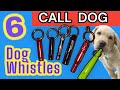 Call Dog 6 Dog Whistle Sounds To Call Dogs