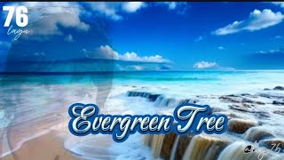 Evergreen Tree  Cliff Richard  lyrics terjemahan #lyrics #lagu76