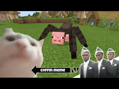 Coffin Meme but Cat is Vibing Part 4 - Minecraft