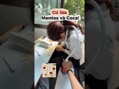 Cú lừa Mentos và Coca #haihuoc #giaitri