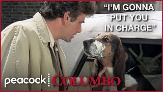 6 Times Columbos Dog Stole the Scene  Columbo