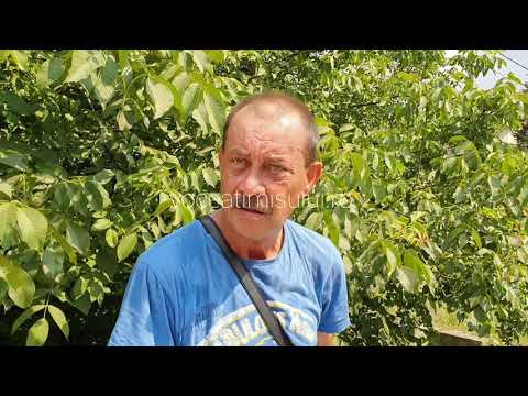 Cinci mașini implicate într-un accident, între Timișoara și Giroc