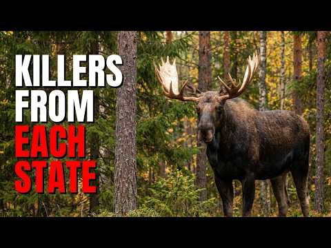 Most Dangerous Animals From Each State in the USA