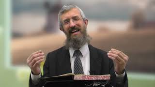 מסכת תענית דף יב - 8 דקות של לומדות ועמקות בדרך הלימוד הישיבתית