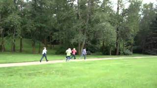 Stampeding Buffalo.MPG