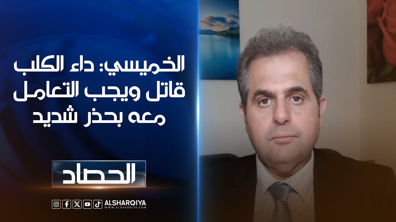 فيديو | ظاهرة الكلاب السائبة تؤرق العراقيين الخميسي: داء الكلب قاتل ويجب التعامل معه بحذر شديد