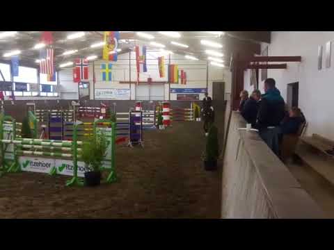 2010 Holsteiner Gelding by Clarimo-Feenspross-Calvados II