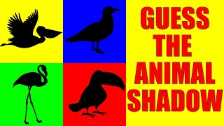Guess the BIRDS from Their Shadow | Quiz Game for Kids, Preschoolers and Kindergarten