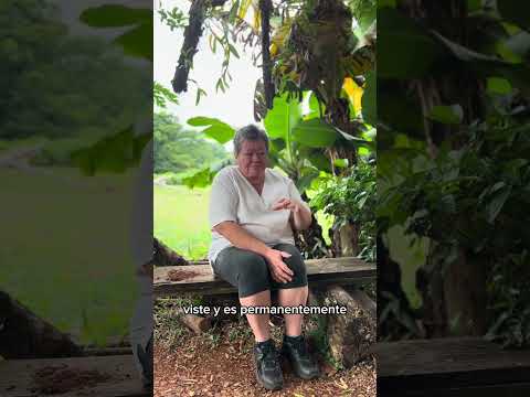 Yellow tea master Amalia from Obera Misiones