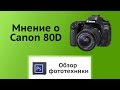 Зеркальный фотоаппарат Canon EOS 80D  body