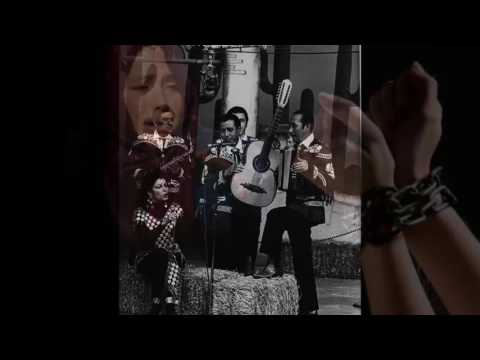 LA MORENA TRINIDAD- LOS ALEGRES DE TERAN