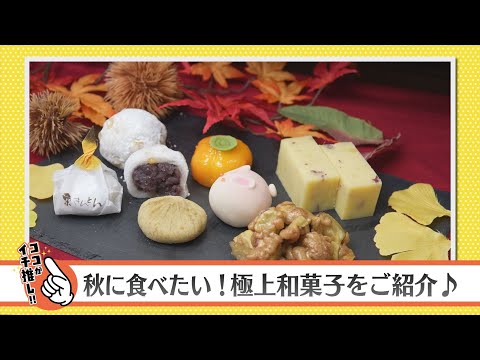 まちクルナビ　松華堂豊田店