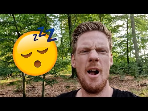 Kan man sove i en skov?