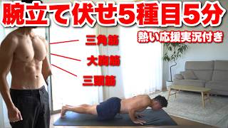 ほぼ毎日やってる腕立て伏せでかっこいい上半身を作る。