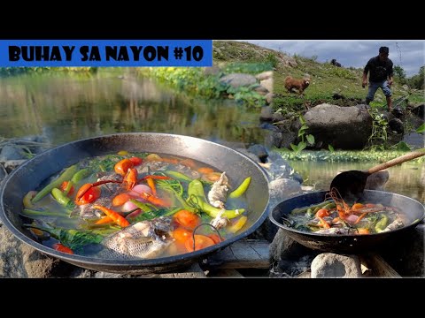 CATCH & COOK NATIVE TILAPIA FROM RIVER | PICNIC ON THE RIVERSIDE | BEAUTIFUL LIFE #buhayprobinsya