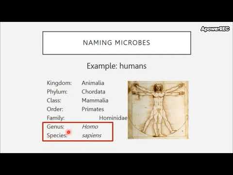 Bio 205 Chapter 1 An Invisible World