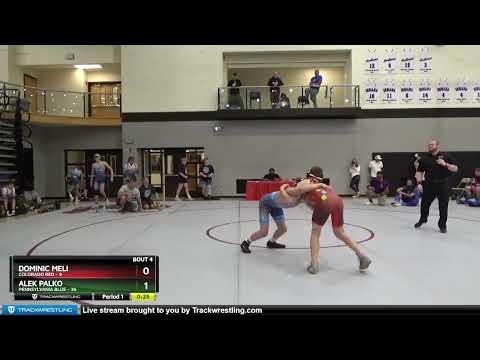 119 Lbs Quarterfinals (8 Team) - Dominic Meli, Colorado Red Vs Alek Palko, Pennsylvania Blue 7d15