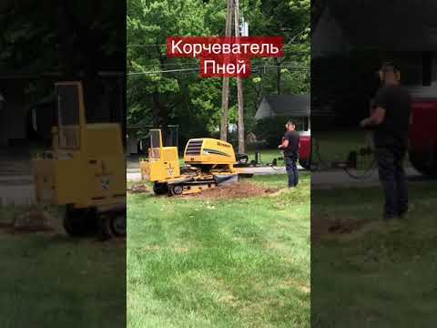 Робот Илона Маска 🤖|#shorts