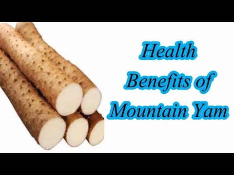 download lagu mp3 mp4 Nagaimo Yam Benefits, download lagu Nagaimo Yam Benefits gratis, unduh video klip Nagaimo Yam Benefits