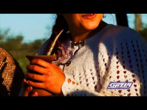 Eu sou do Sul - Elton Saldanha - www.somosdosul.com.br