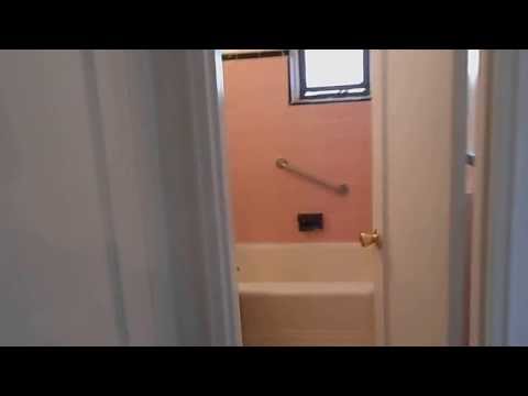 Studio Apt in Forest Hills