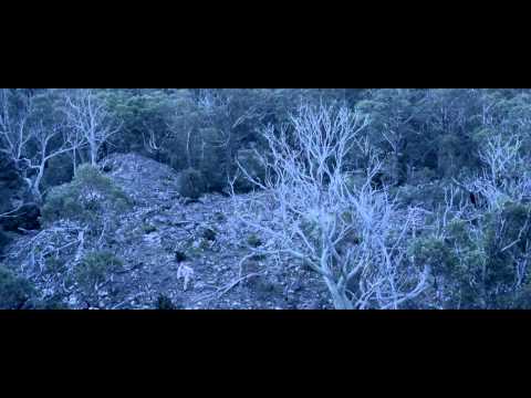 Russell Morris - Van Diemen's Land (OFFICIAL VIDEO)