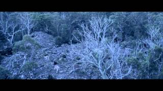 Russell Morris - Van Diemen's Land (OFFICIAL VIDEO)